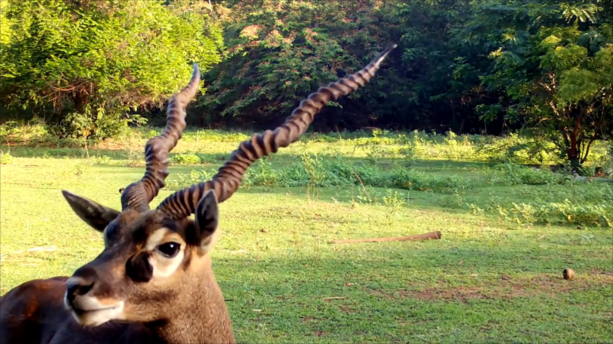 India Screenshot 140