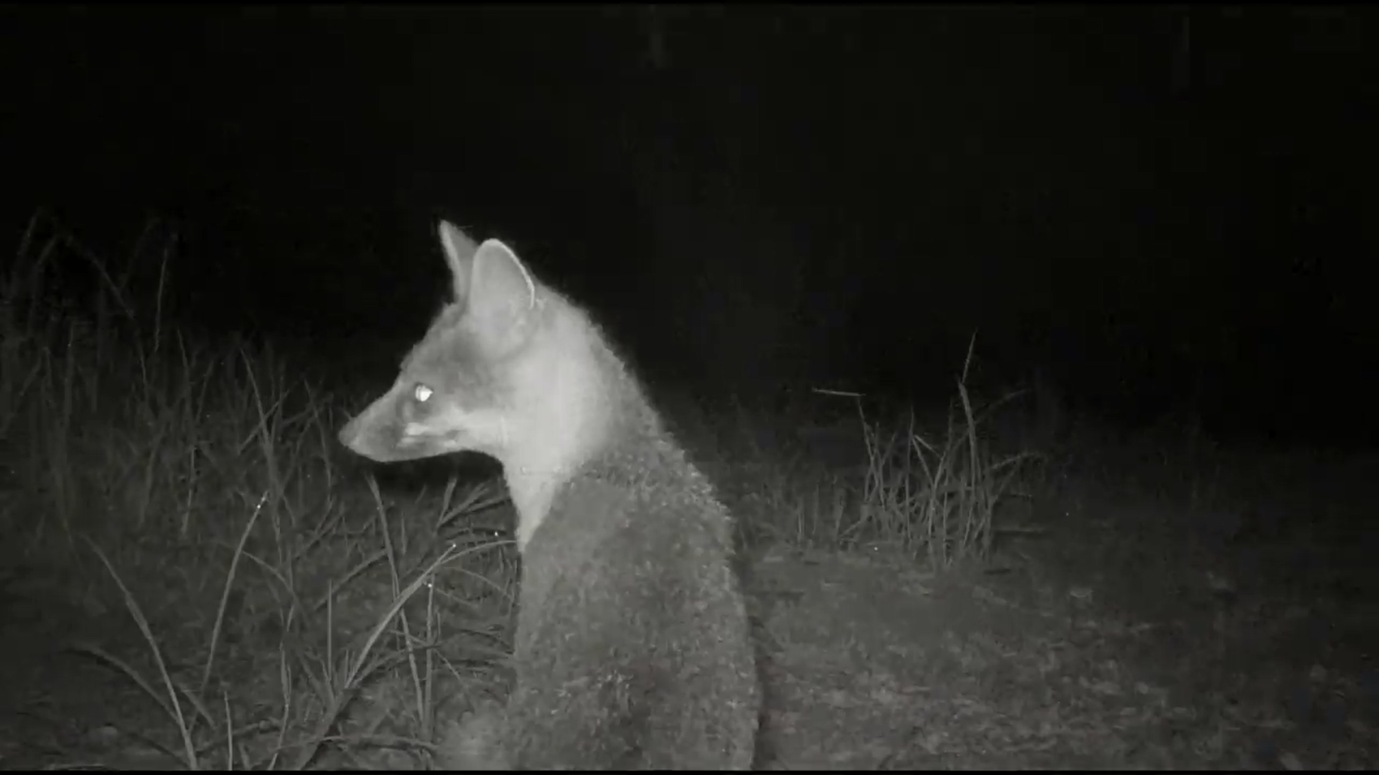 USA Bolinas Screenshot 28