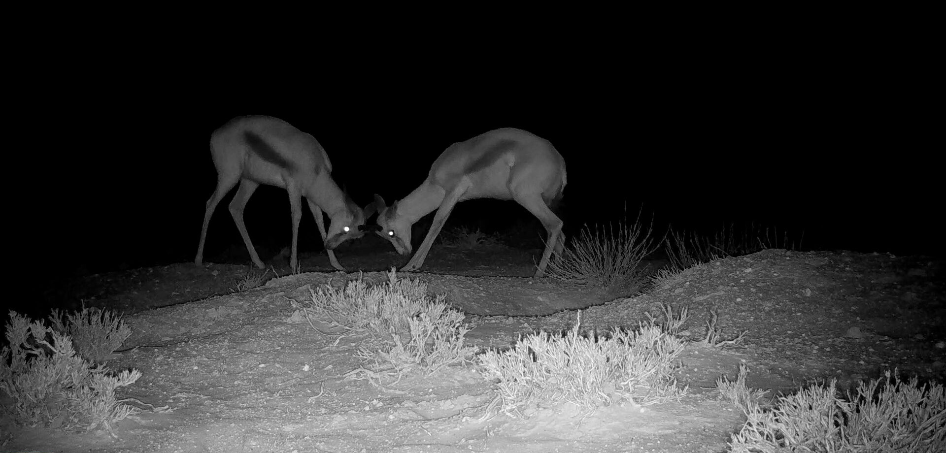 Suedafrika 06