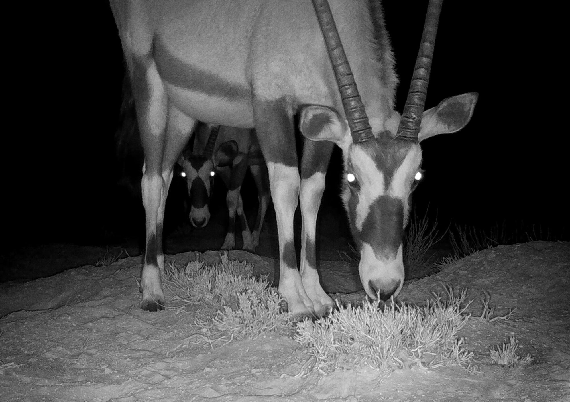 Suedafrika 07