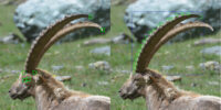Ibex geometric3
